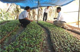 Đào tạo nghề cho lao động DTTS còn nhiều bất cập - Bài 1: Chủ yếu đào tạo ngắn hạn
